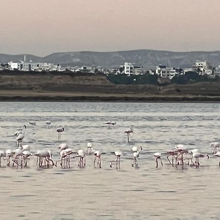Salt Lake Larnaca Buitenkant foto
